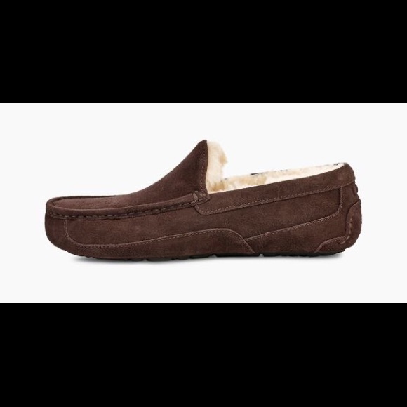UGG Men's Ascot Slipper - Picture 5 of 8